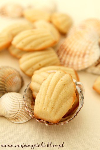 Classic French madeleines