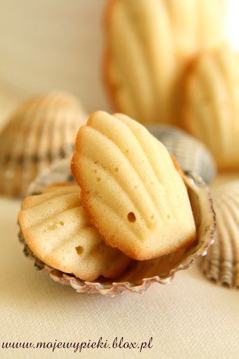 Classic French madeleines
