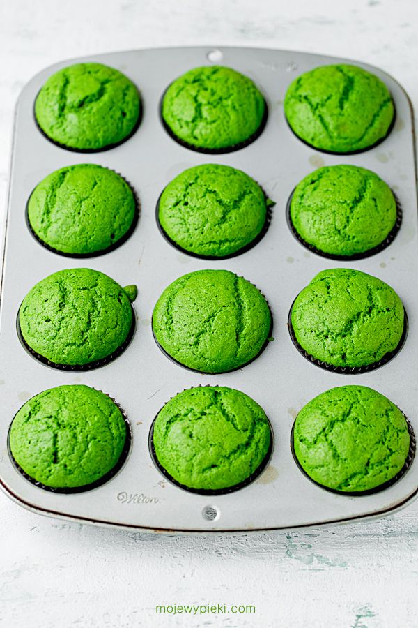 Forest Moss cupcakes