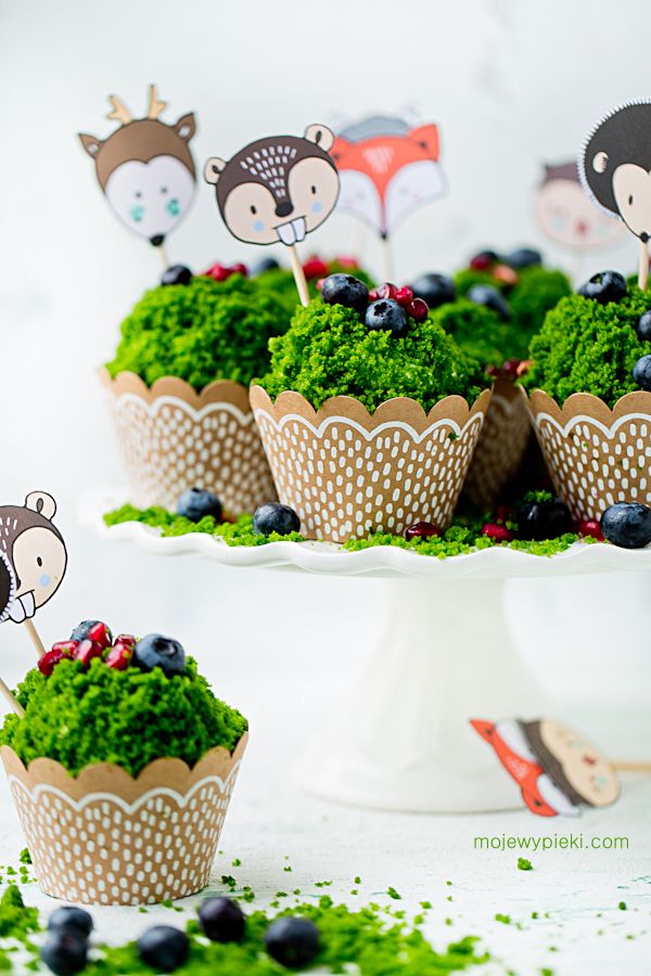 Forest Moss cupcakes
