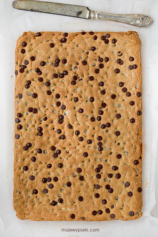 Giant chocolate chip cookie