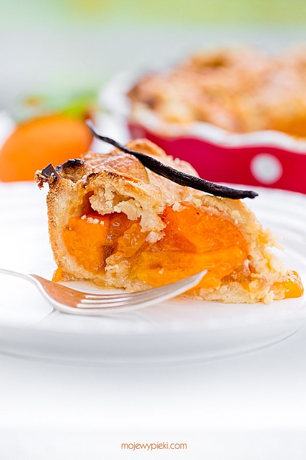 Apricot lattice tart