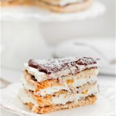 Bounty coconut meringue cake