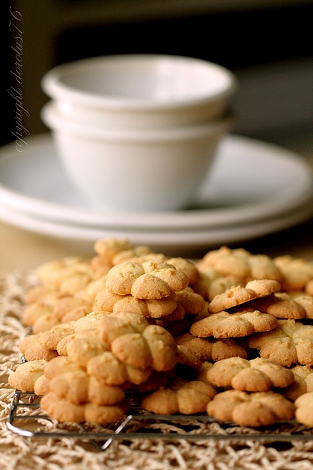 Italian cornmeal cookies