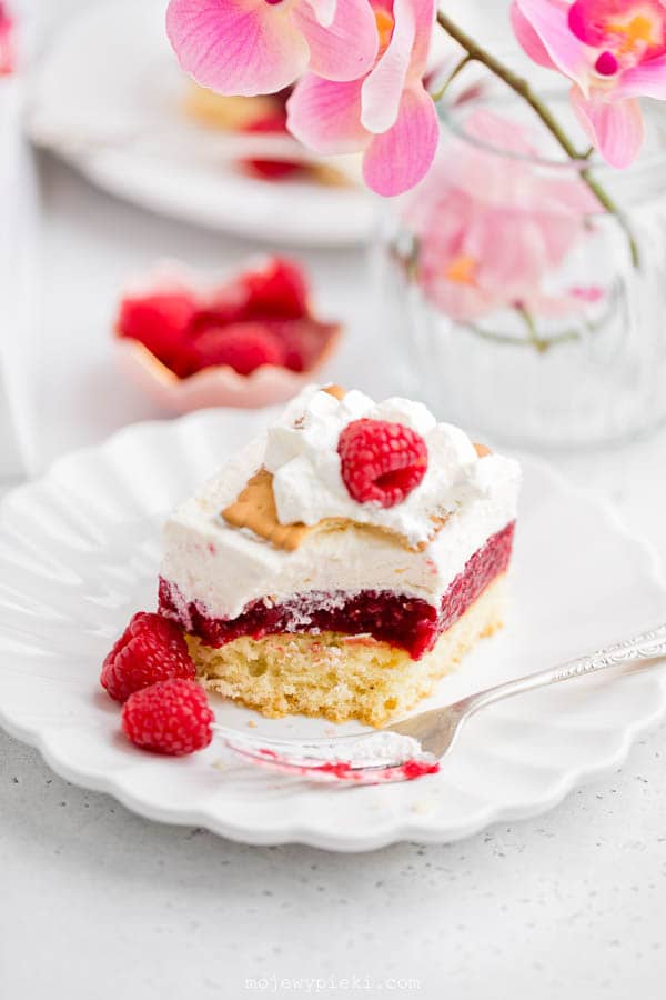 Raspberry slice