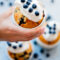 Blueberry muffins