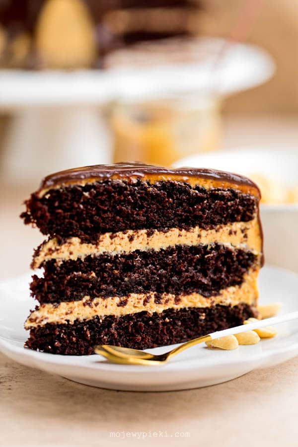 Chocolate peanut butter cake