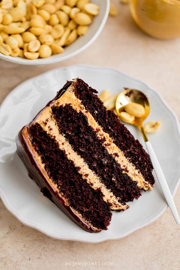 Chocolate peanut butter cake