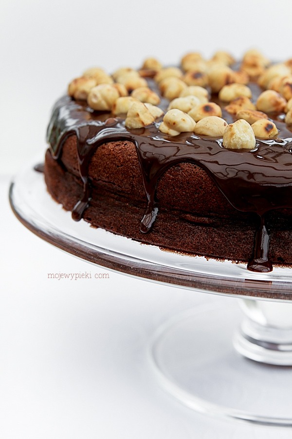 Torta alla gianduia