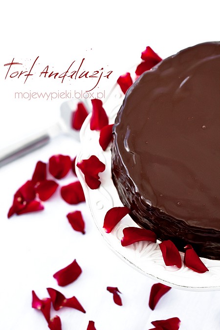  Tort Andaluzja