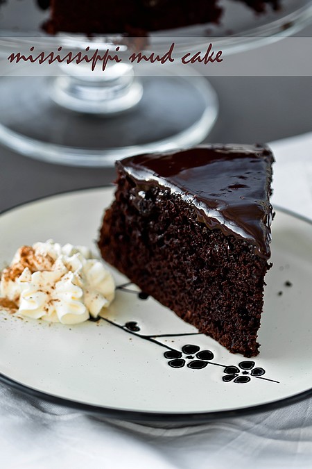 Mississippi Mud Cake