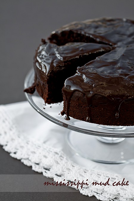 Mississippi Mud Cake