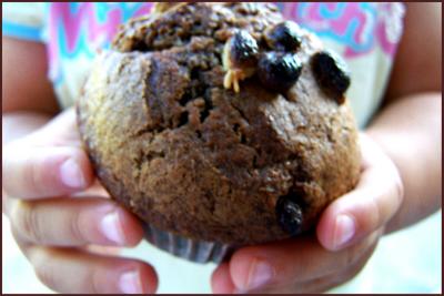 Chocolate chip muffins